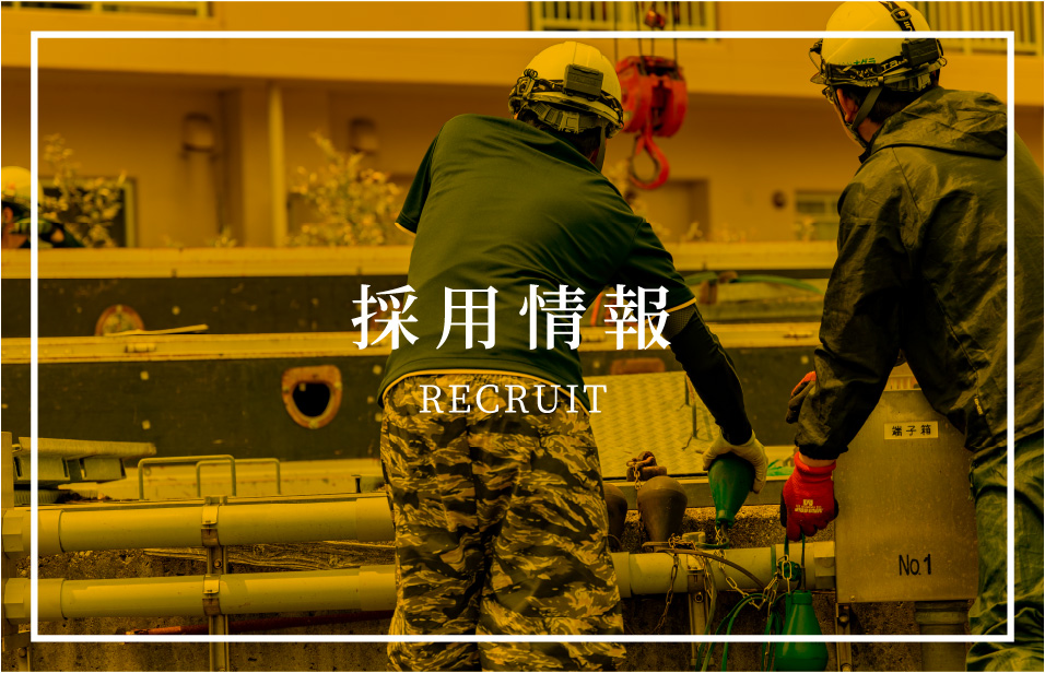 採用情報